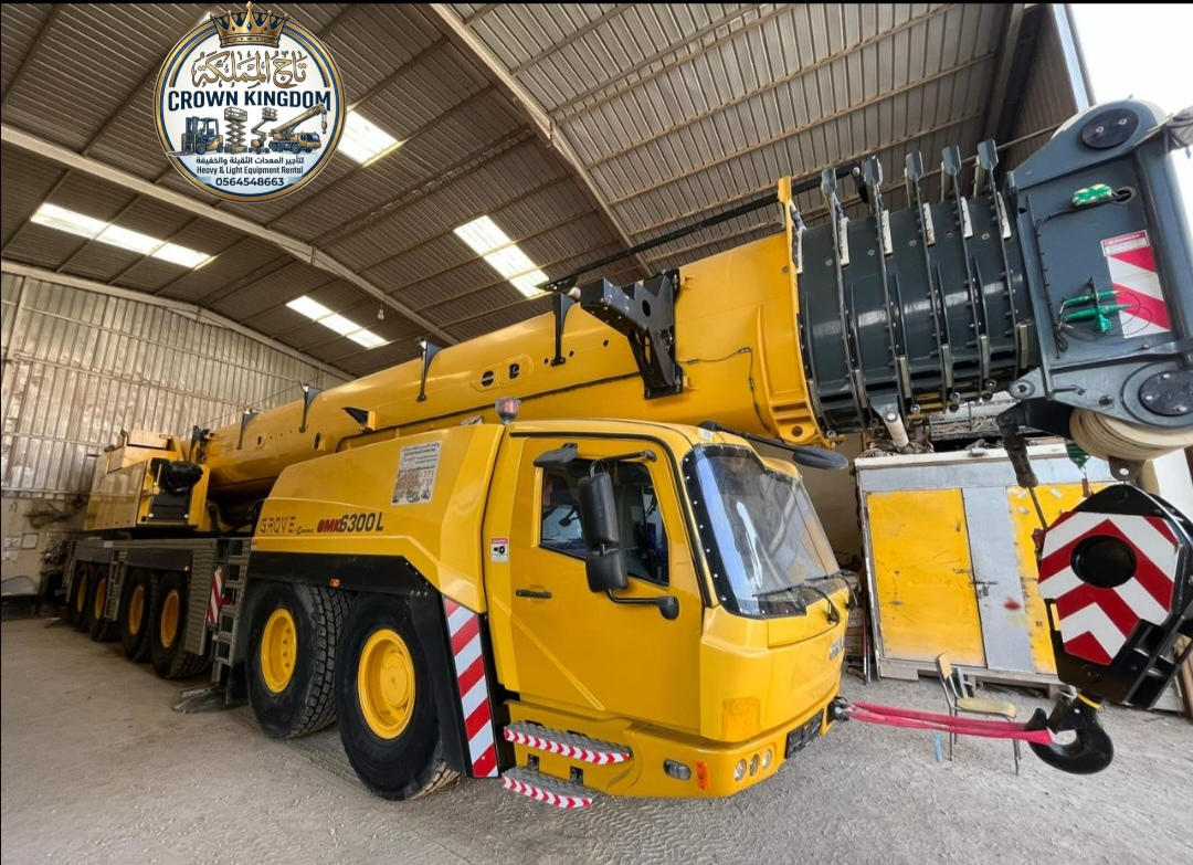 30 Ton Crane